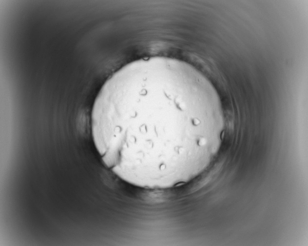 X0000093440527200711091456