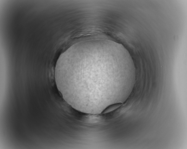 X0000093440528200711091456