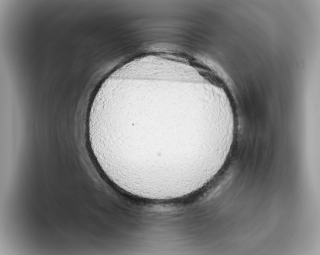 X0000093440529200711091455