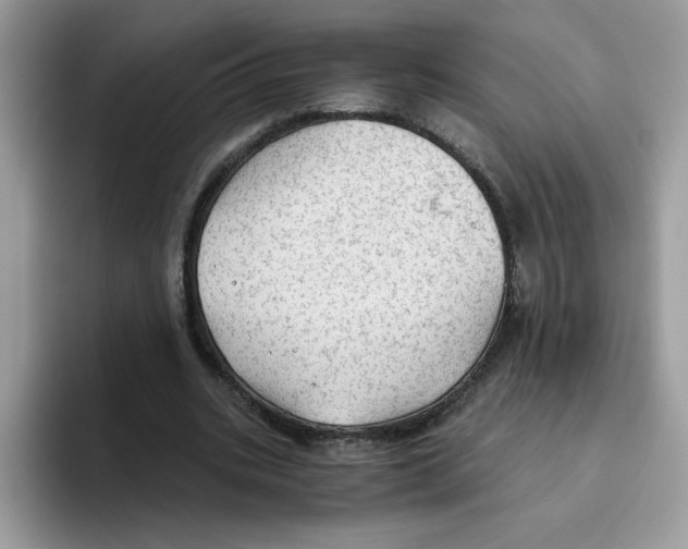 X0000093440535200711091456