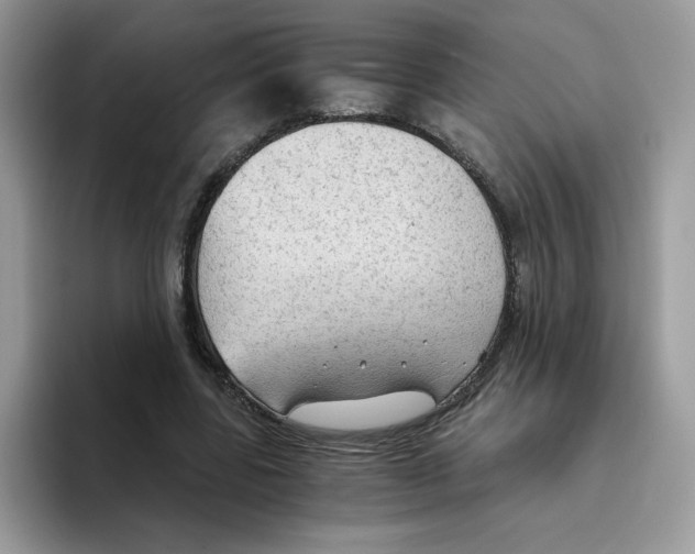 X0000093440539200711091456