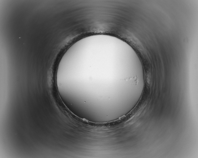 X0000093440540200711091456