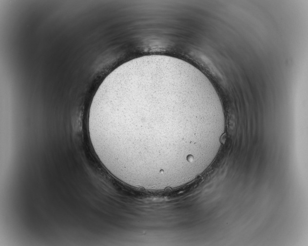 X0000093440543200711091456