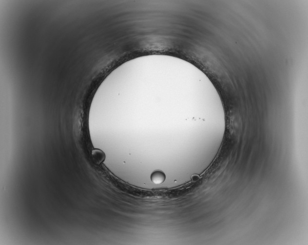 X0000093440544200711091456