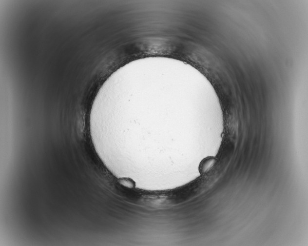 X0000093440554200711091456