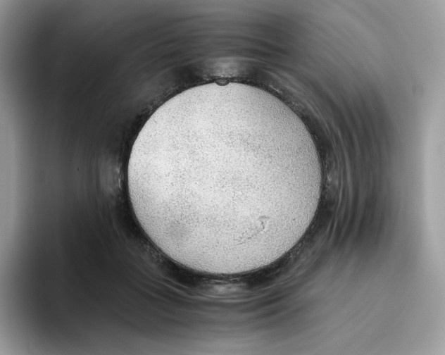 X0000093440555200711091456