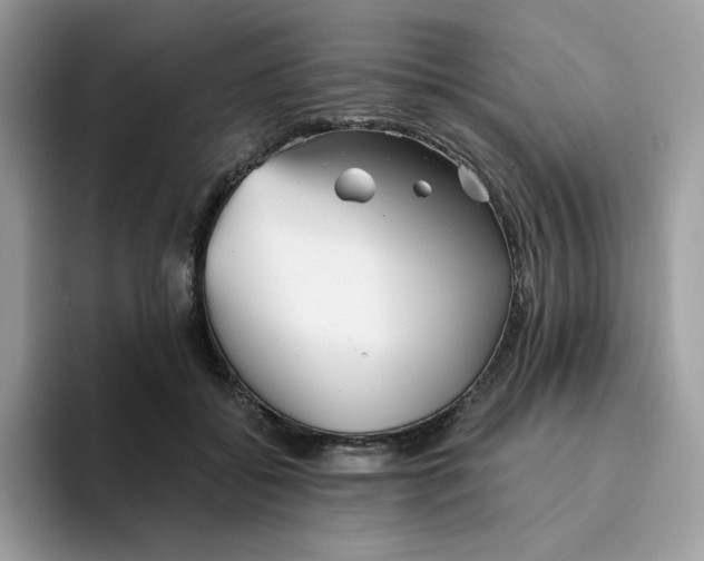 X0000093440556200711091456