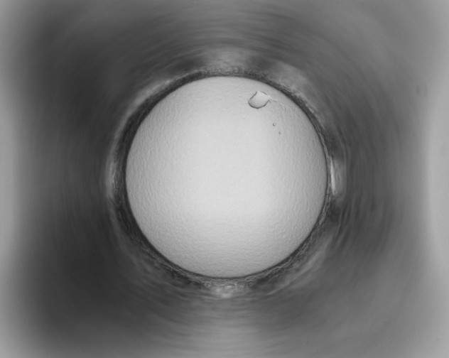 X0000093440579200711091455