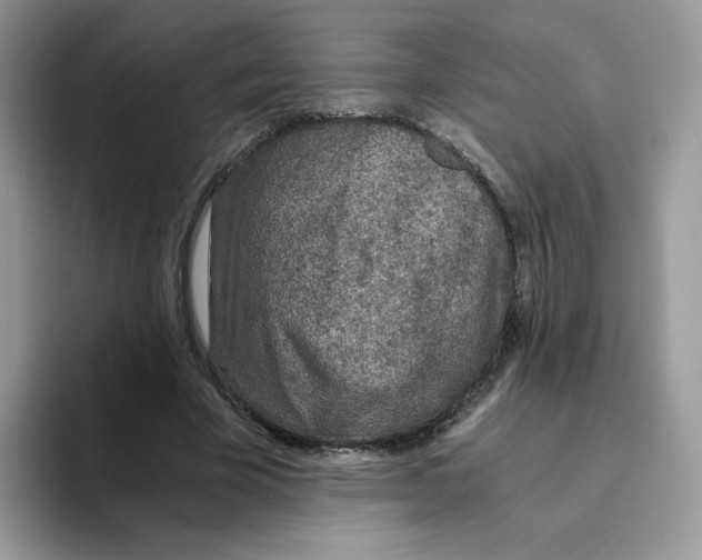 X0000093440585200711091455