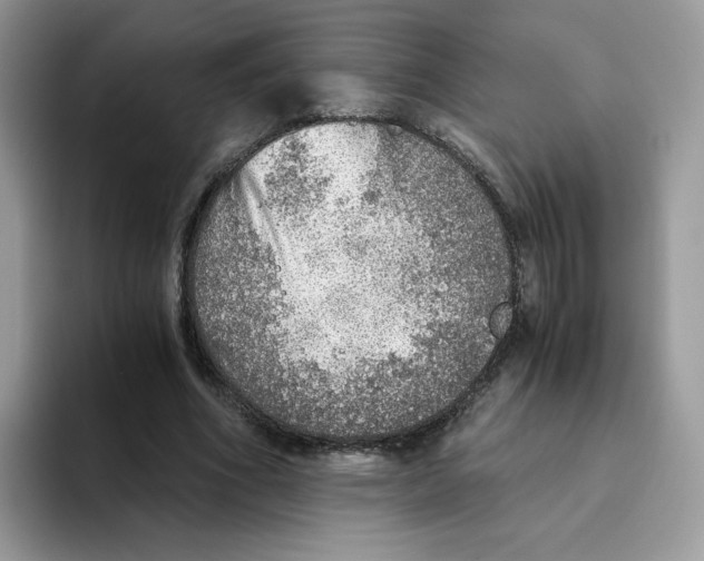 X0000093440586200711091455