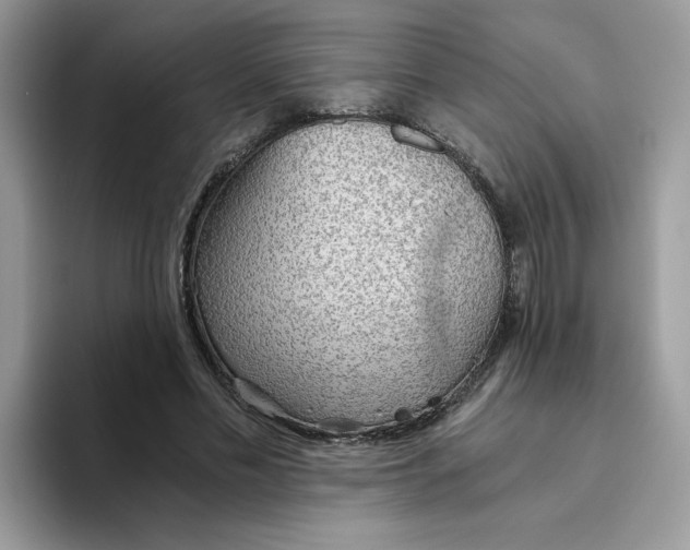 X0000093440589200711091455