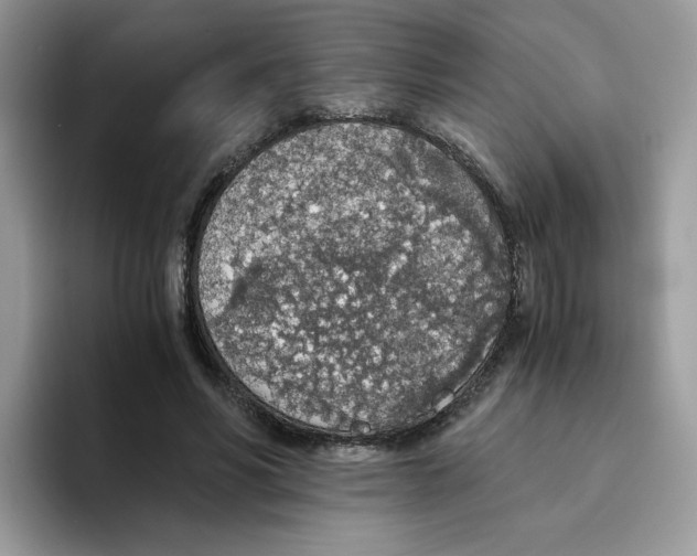 X0000093440590200711091455