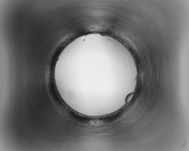 X0000093440591200711091455