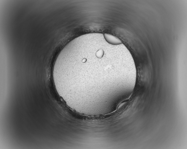 X0000093440593200711091455