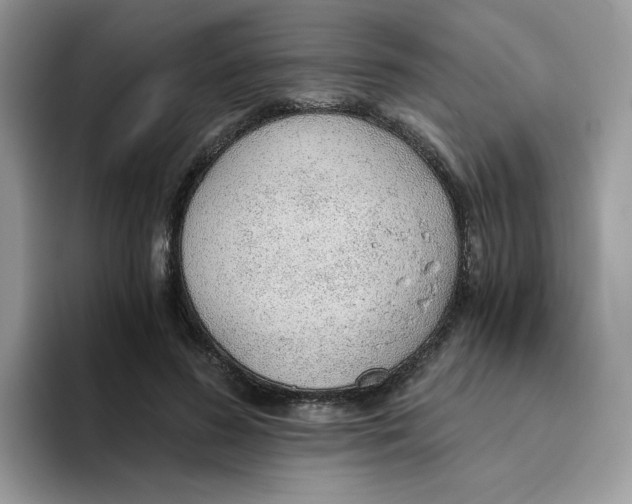 X0000093440596200711091455