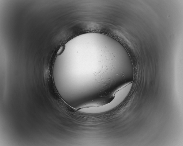 X0000093440597200711091455