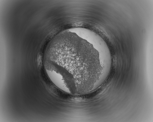 X0000093440598200711091455