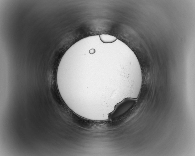 X0000093440599200711091455