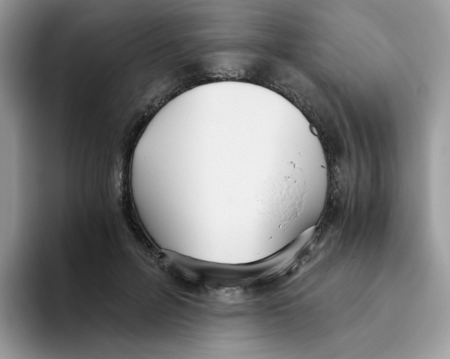 X0000093440600200711091455