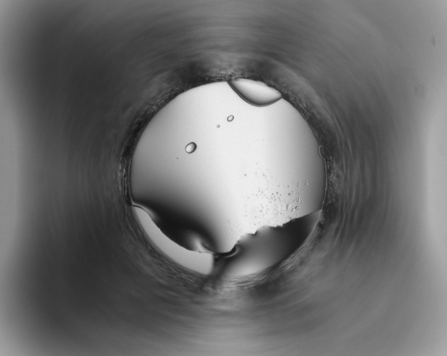 X0000093440601200711091455