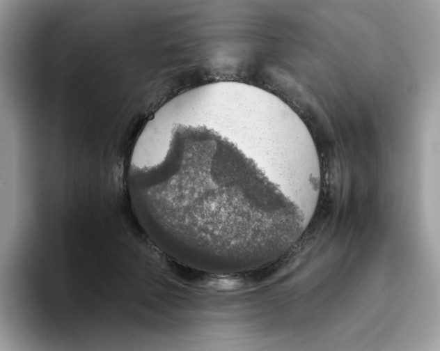 X0000093440610200711091455