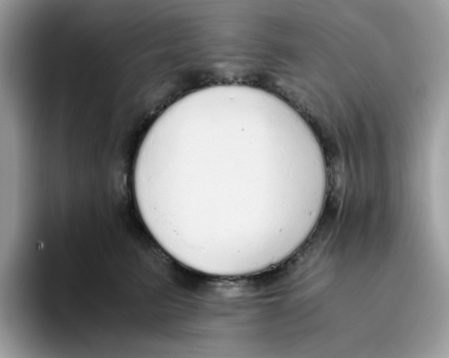 X0000093440615200711091455