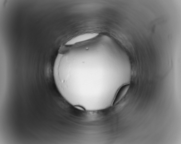 X0000093440623200711091455