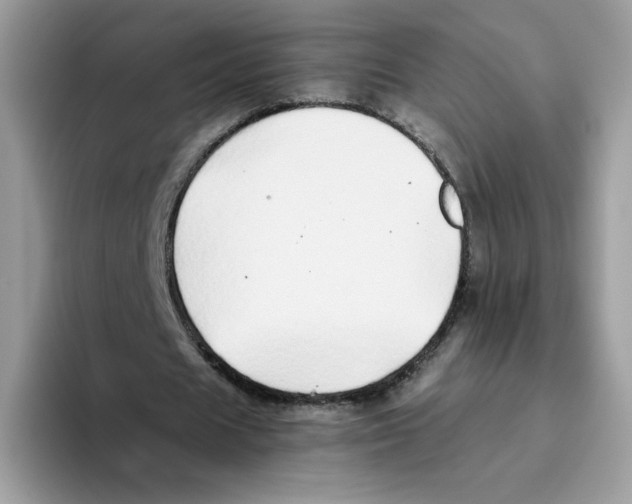 X0000093440625200711091454