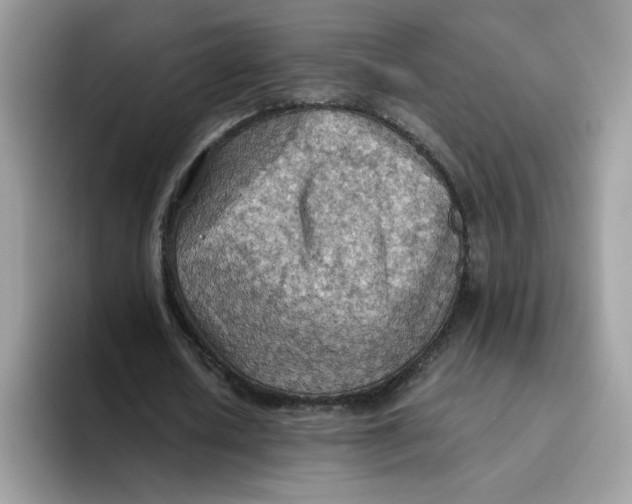 X0000093440626200711091454