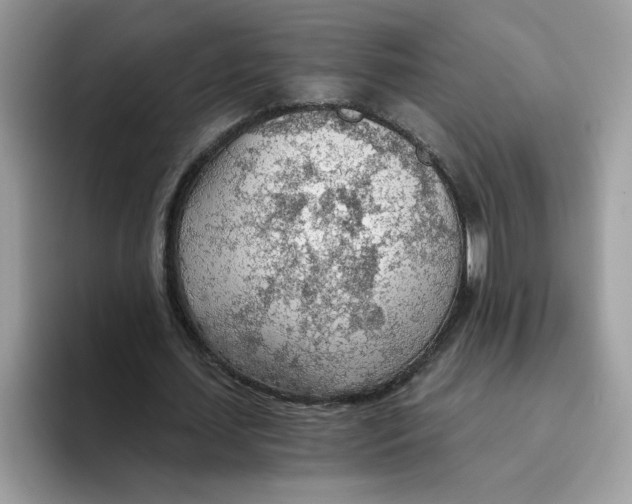 X0000093440627200711091454