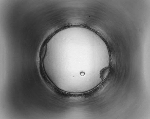 X0000093440630200711091454