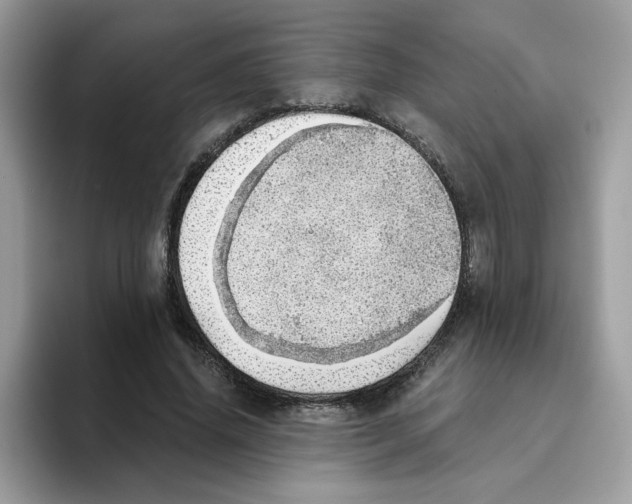 X0000093440636200711091454