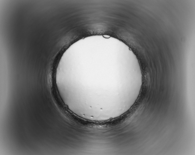 X0000093440638200711091455