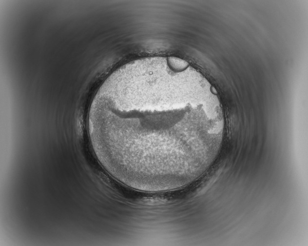 X0000093440644200711091455