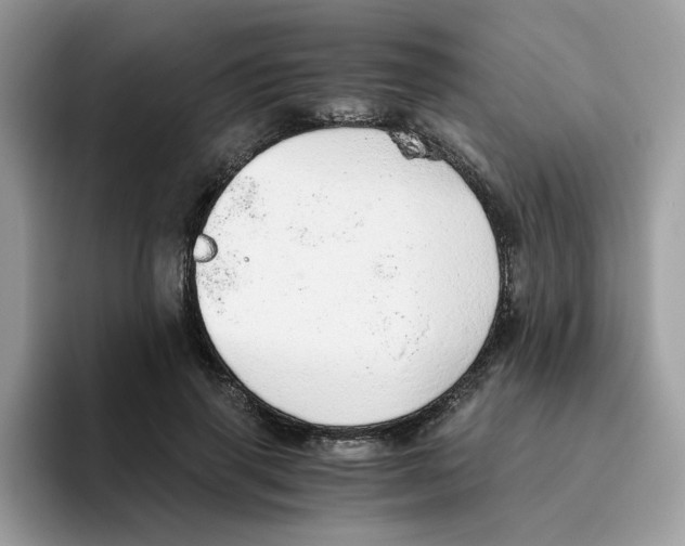 X0000093440645200711091455