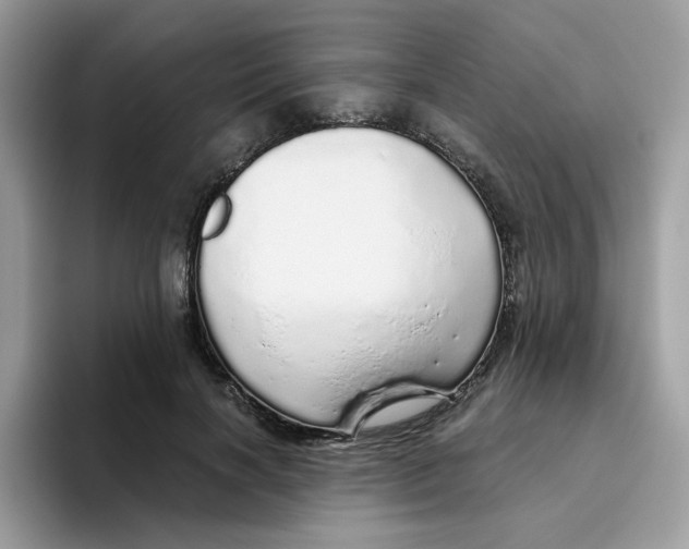 X0000093440646200711091455