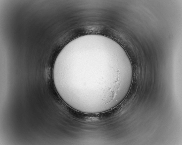 X0000093440649200711091455