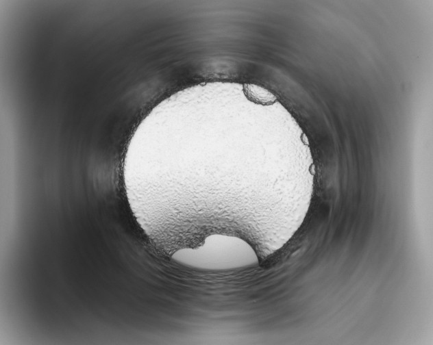 X0000093440652200711091455