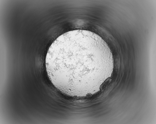 X0000093440653200711091455