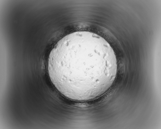 X0000093440654200711091455