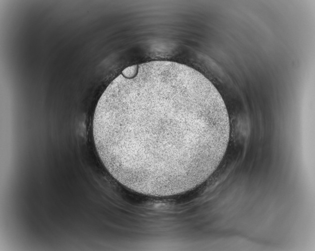 X0000093440655200711091455