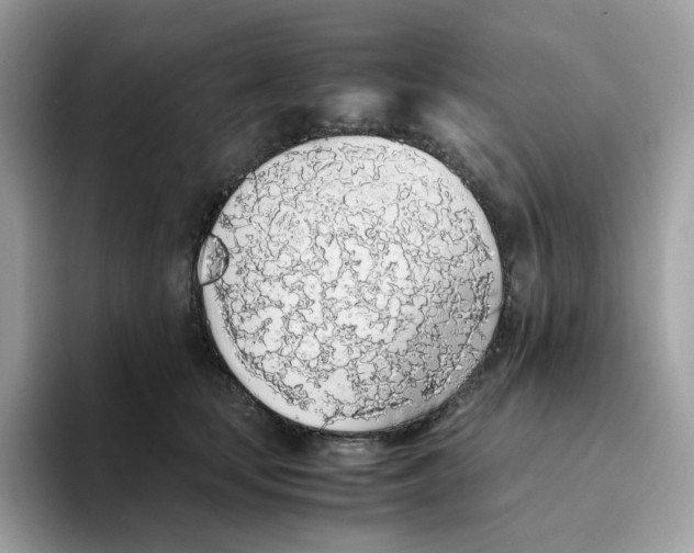 X0000093440659200711091455