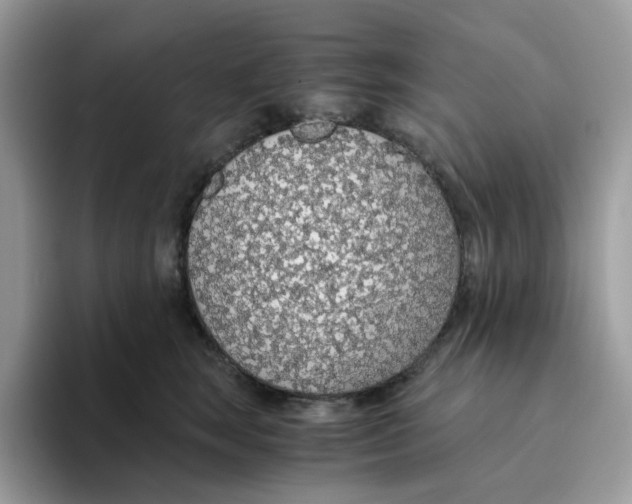 X0000093440663200711091455