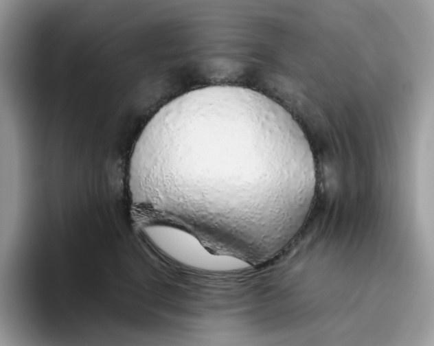 X0000093440664200711091455