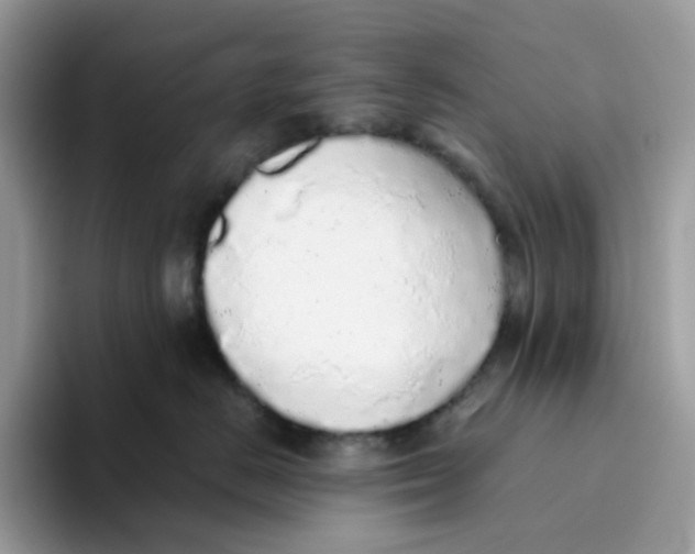 X0000093440670200711091455