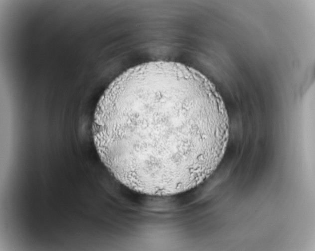 X0000093440671200711091455