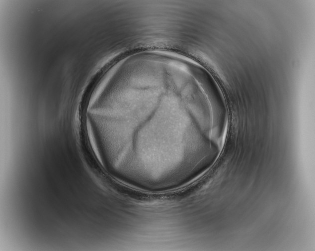 X0000093440674200711091454