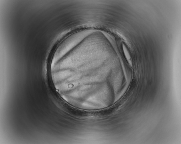 X0000093440678200711091454