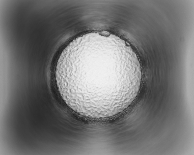 X0000093440679200711091454