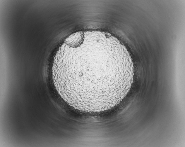 X0000093440683200711091454